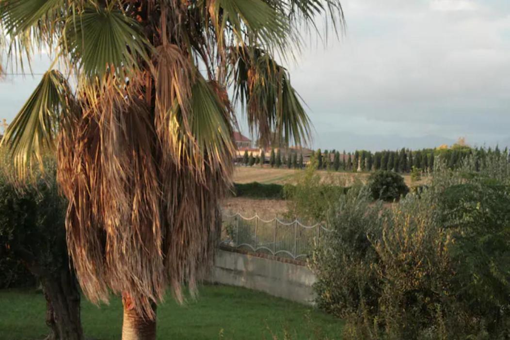 Il Tuffatore B&B Capaccio Exterior foto